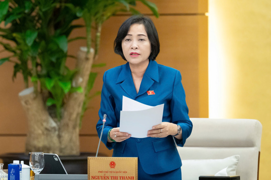 Xác định dự kiến cơ cấu, thành phần, phân bổ số lượng người được giới thiệu ứng cử đại biểu Hội đồng nhân dân các cấp nhiệm kỳ 2026-2031